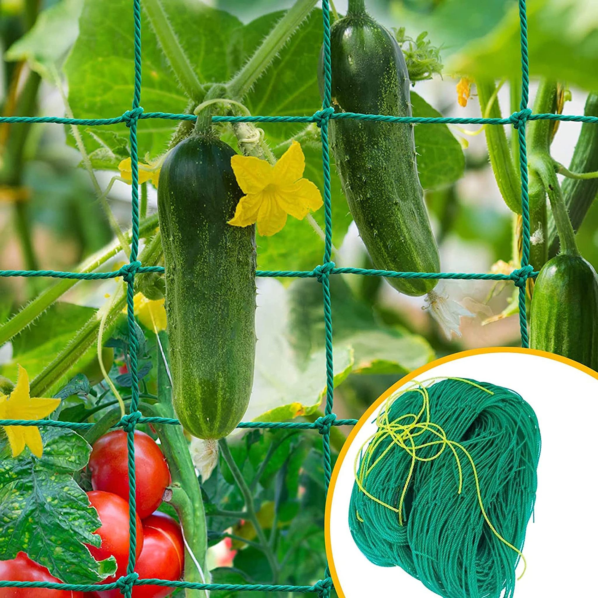 Plant Climbing Net & Creeper Support for Agriculture and Gardening Netting 6Feet x 6 Feet