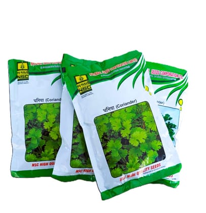 NSC Coriander Variety ACR-1 TL Seed, 100gm