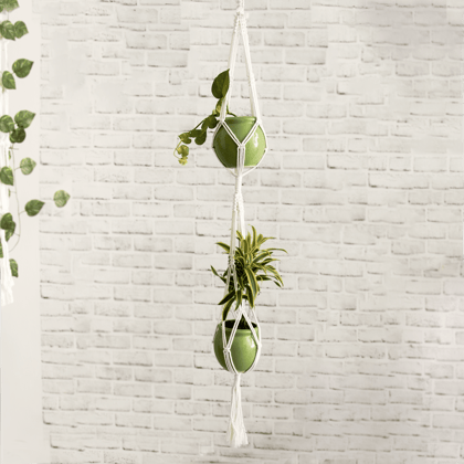 Macramé Dual Plant Hanger