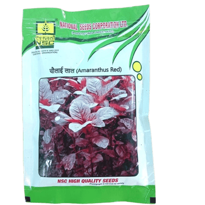 AMARANTHUS -ARUN RED