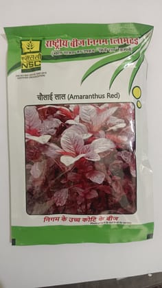 NSC Amaranthus Red - Variety- Arun Red- 100 GMS