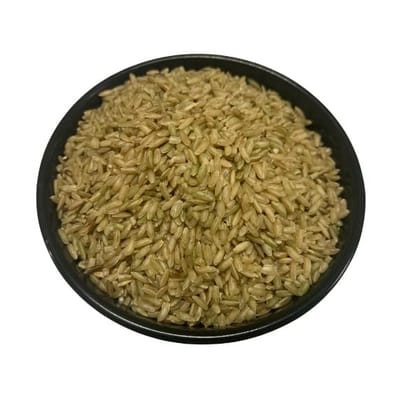 GARUDAN SAMBA RICE