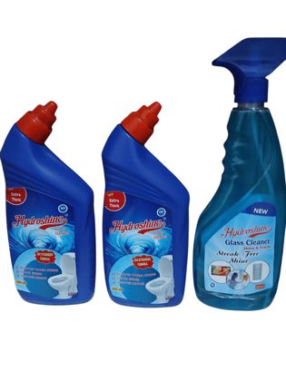 Hydroshine 2Toilet Cleaner 550ML,With 500ml Glass Cleaner