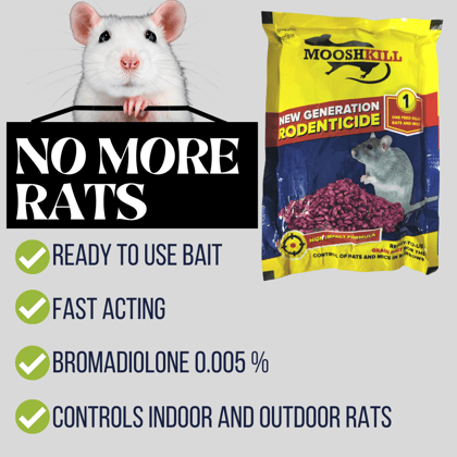 Rat Killer Granules | Ready to use wax block for the control of Rats and Mice | New Generation Rodenticide | Rats tend to die outside 100gm