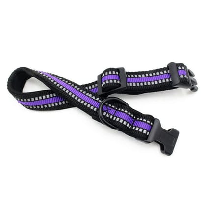 Radium Collar 3/4 inch 20mm (Purple)