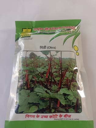 NSC OKRA/Bhindi Seeds- VARIETY- Kashi Lalima- High Quality Seeds