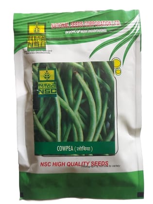 NSC High Quality Cowpea Seeds