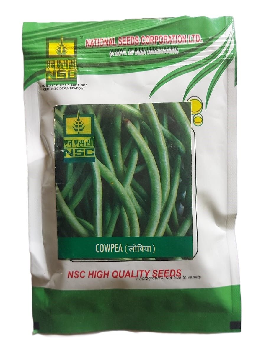 NSC High Quality Cowpea Seeds