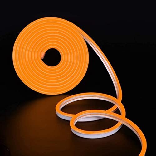 DAYBETTER� Neon Rope Light Silicon DC Light (5 Meter/16.4 Feet) or Indoor and Outdoor Flexible Waterproof Decorative Light with 12v DC Adapter Include- Orange