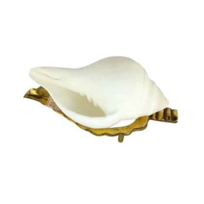 MAYAPURI Small Size Natural Jal Sankha/Sankh/Puja Sankha White Conch Shells with Sankha Stand (Set of 1)