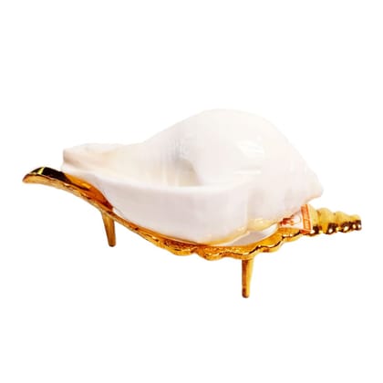 MAYAPURI Natural Puja Shankha/Jal Sankha | White Conch Shells with Sankha Stand