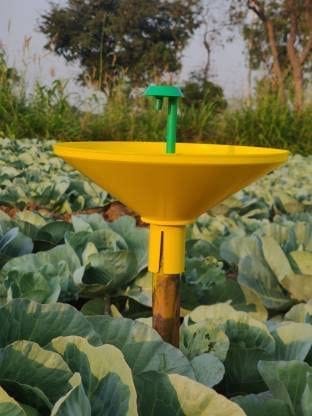 Yellow Sticky Traps for Flying Insects, Plant Protection Sticky Traps for Whiteflies, Aphids, Fungus Gnats, Leaf Miners, Thrips, and Other Flying Insects