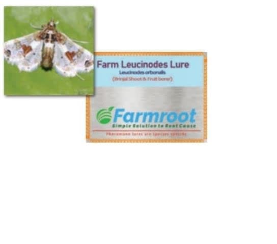 Farmroot Pheromone Lure Brinjal Fruit Borer and Brinjal Shoot Borer (leucinodes orbonalis)