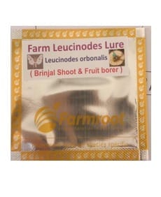 FARM LEUCINODES LURE WITH WATER TRAP (Pack of 10)