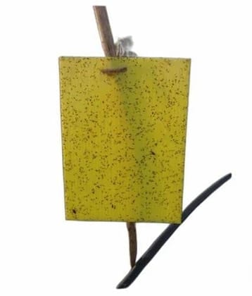 Farmroot Sticky Insect Trap (Yellow, 22 x28 mm, Large Size)