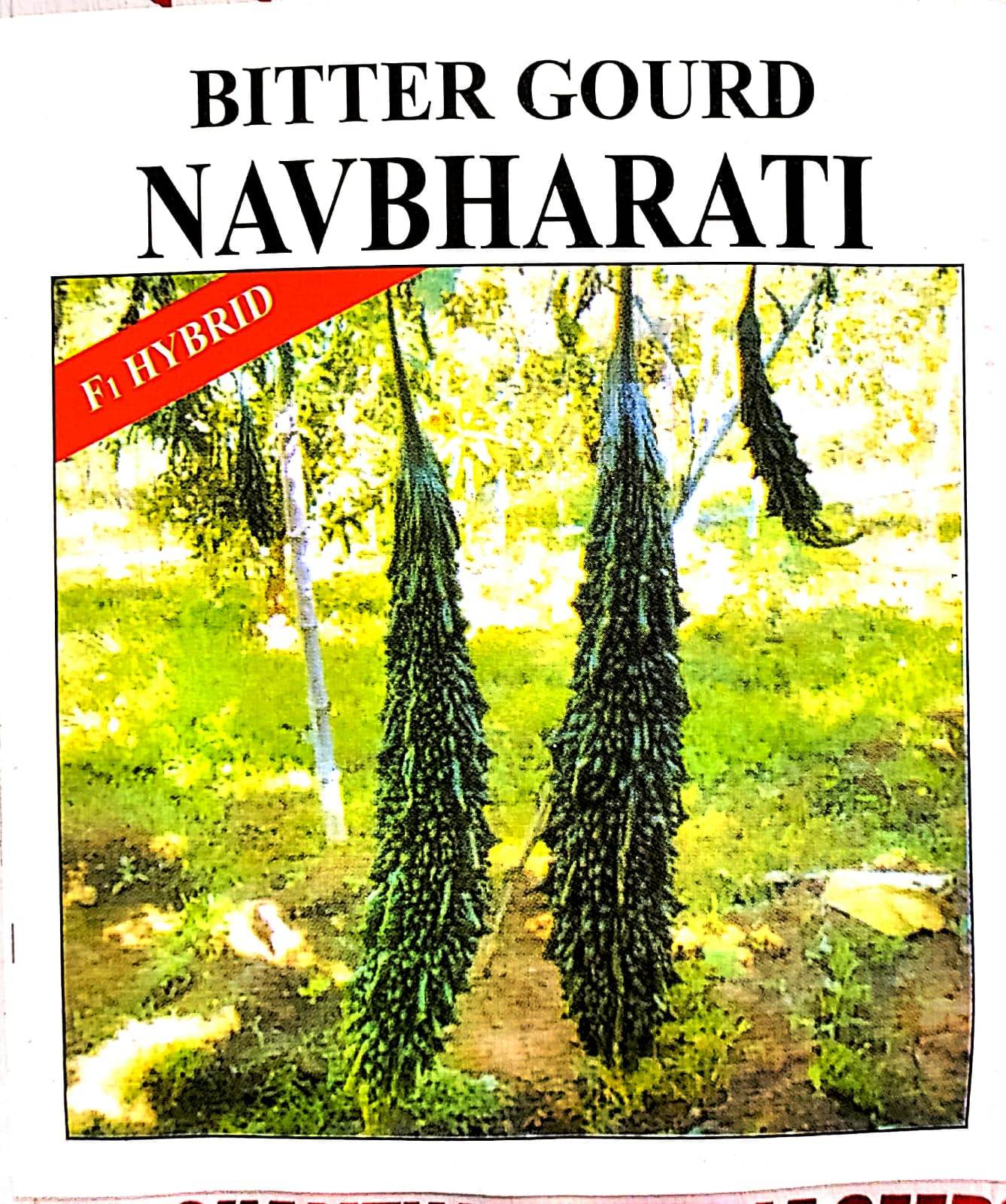 bittergourd navbharti