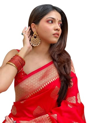 Red Banarasi Silk Saree With Golden Zari Work And Pallu.