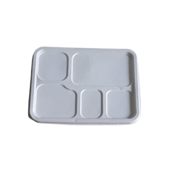 5 Compartment White Disposable Foam Lunch Tray with Lid - 100% Compostable & Biodegradable pack of 10