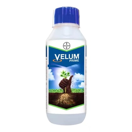 Velum Prime - Fluopyrum 34.48%