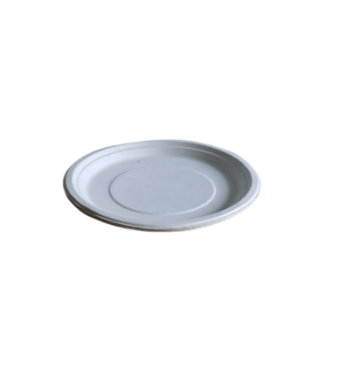 Compostable Sugarcane Plates | Disposable Plates Biodegradable Plates pack of 25