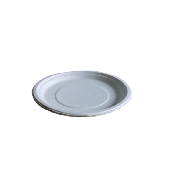 Compostable Sugarcane Plates | Disposable Plates Biodegradable Plates pack of 25