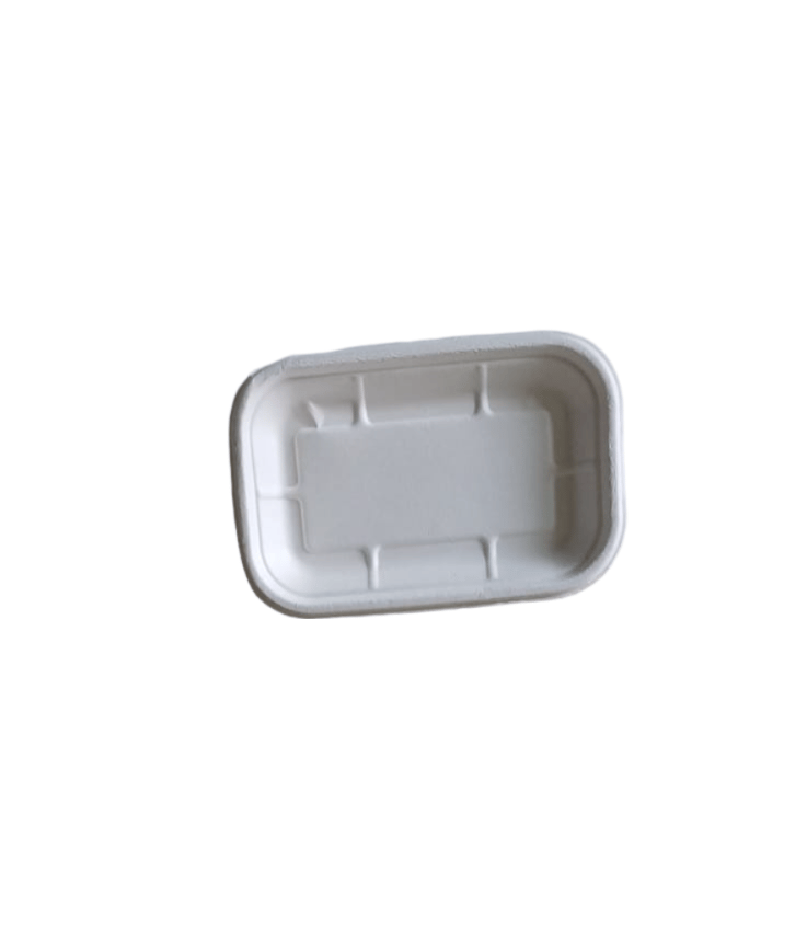 Compostable sugarcane food container 100% biodegradable pack of 20