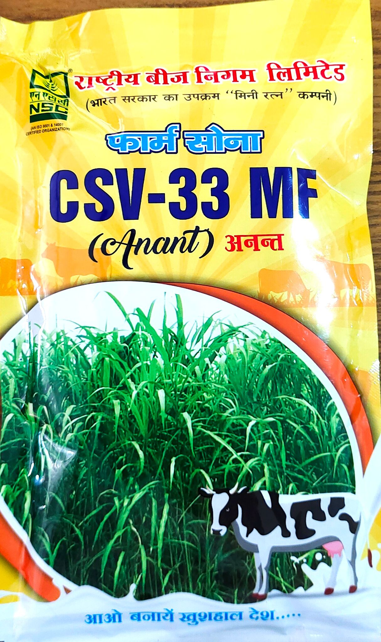 FODDER SORGHUM CSV-33MF TL 250GM POUCH