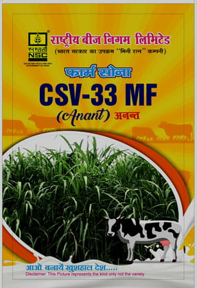 FODDER SORGHUM CSV-33MF TL 1KG POUCH