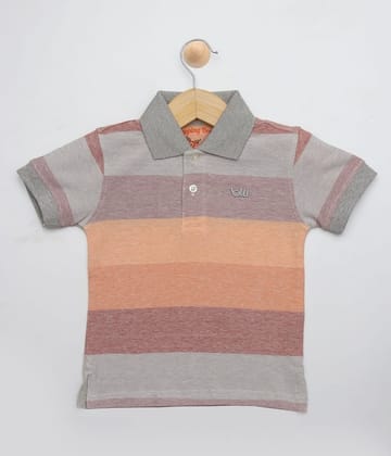 Boys Multi Color Polo T-Shirt