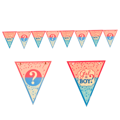 Wanna Party Girl or Boy Bunting Banner - Over 15FT