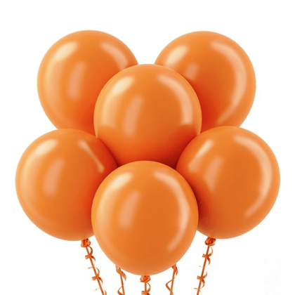 Wanna Party Hermes Orange / Lion Orange Latex Balloons 10" - 20PC