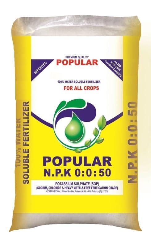 POPULAR -1KG