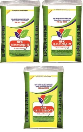 NPK 19-11-11-3MgO+TE Fertilizer (3Kg, Powder)