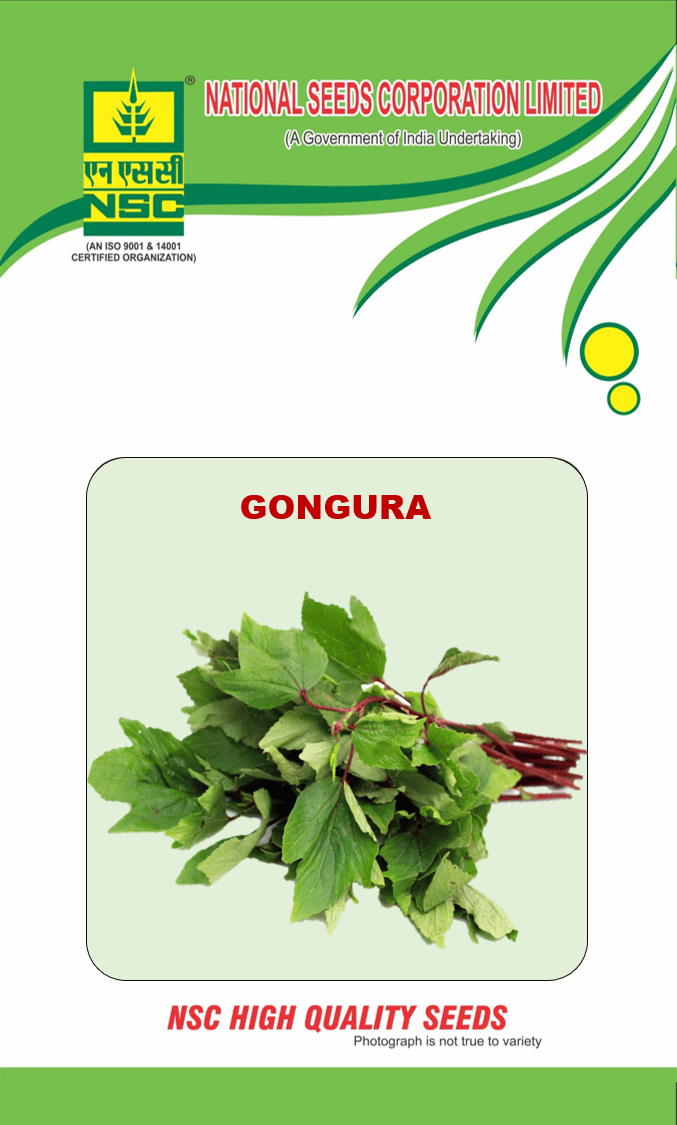 NSC Gongura; 10 gm seeds