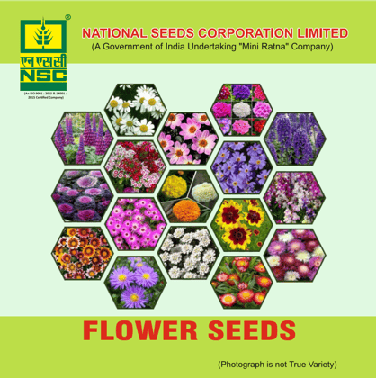 Flower Seed Kit; 4 Crops - 1