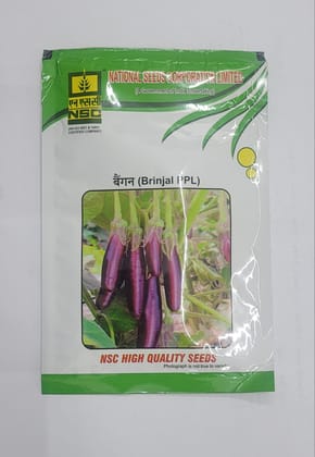 NSC Brinjal, Variety- PPL, 50gm Truthful Label