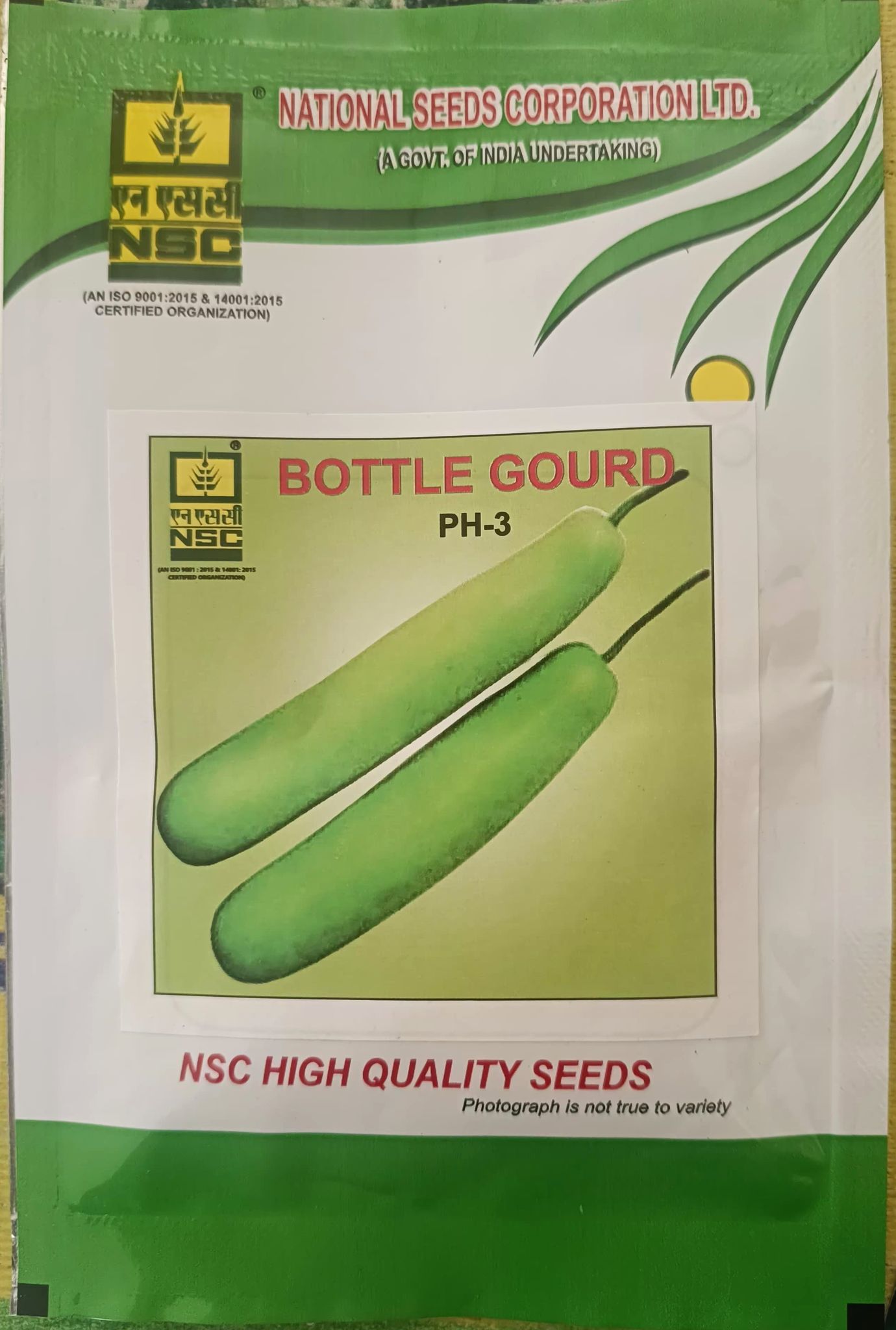 NSC Hybrid Bottlegourd PH-3 Variety, 10 gm T/L Seed