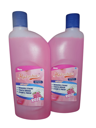  "Hydroshine Disinfectant Floor Cleaner, 10X Cleaning Power, 500ml (Pack of 2)"