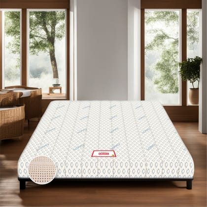 COIRFIT BIOLIFE 7-Zone LATEX with Talalay Tech 6 inch Queen Latex Foam Mattress (L x W. 72 inch x 60 inch)