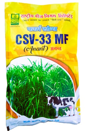 अनंत  ( Anant) NSC FORAGE SORGHUM CSV-33 MF TL 250 gm POUCH