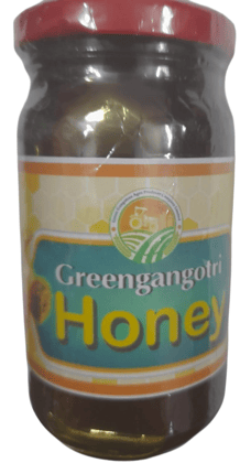 Green Gangotri 100% Pure and Natural Honey, 250g"