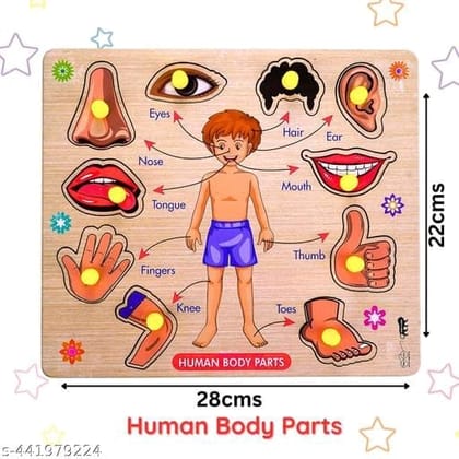 **Human Body Parts Wooden Puzzle Board**