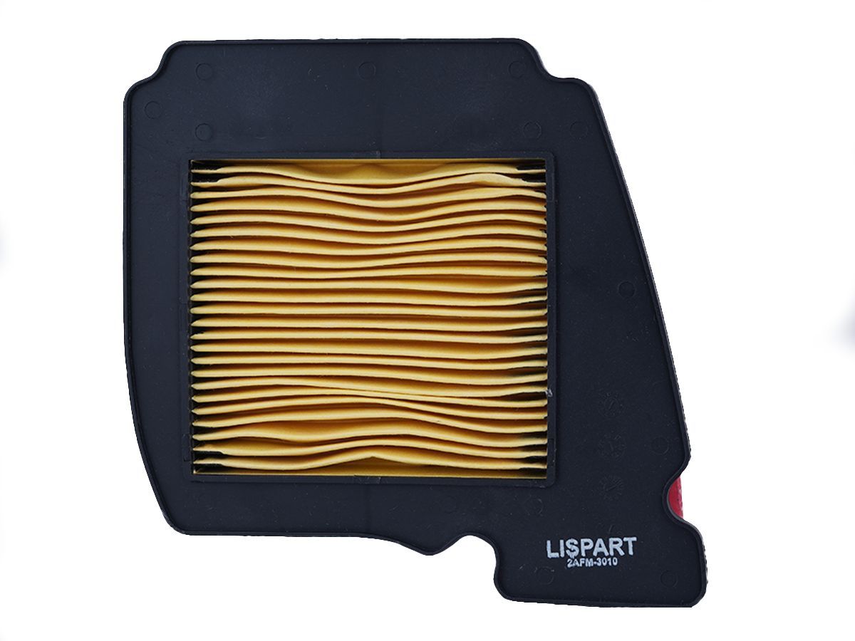 LISPART Air Filter - 2AFM-3010 for FZ 16