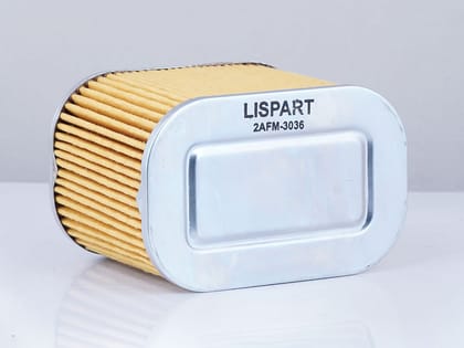 LISPART Air Filter - 2AFM-3036 for STAR CITY