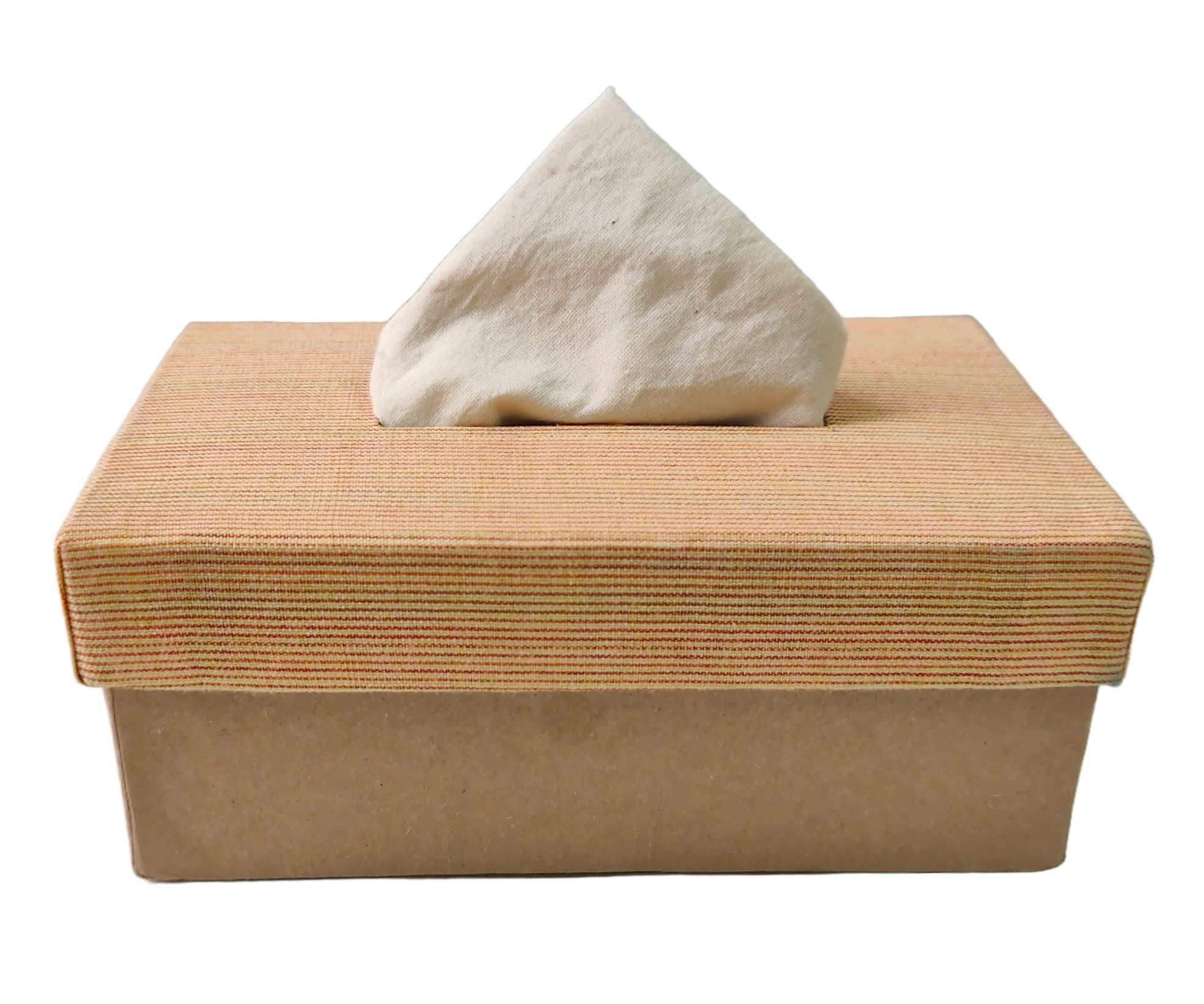 OASIS Tissue Box