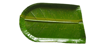 Biodegradable Areca Leaf Plates | Eco-Friendly Disposable Dinnerware | 100% Natural | 8 Inches | Pack of 25