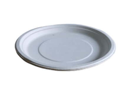 Compostable sugarcane bagasse plates | 100% biodegradable 11 inches