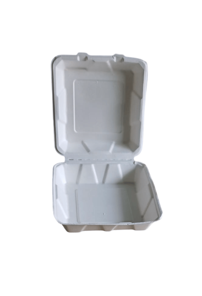 "Eco-Friendly Disposable Square Foam Food Containers with Lids - 10 Pack"