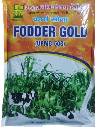 FODDER GOLD seeds upmc 503