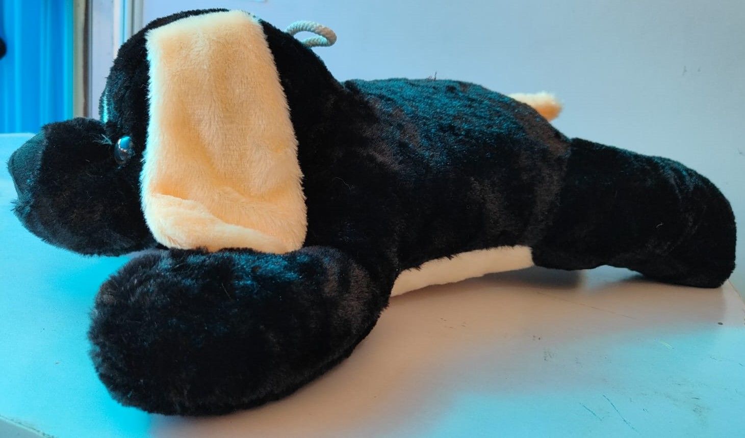 Cute and cuddly black and white puppy plush toy